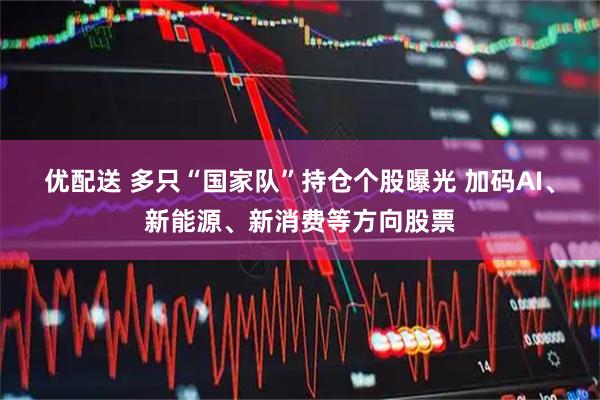 优配送 多只“国家队”持仓个股曝光 加码AI、新能源、新消费等方向股票