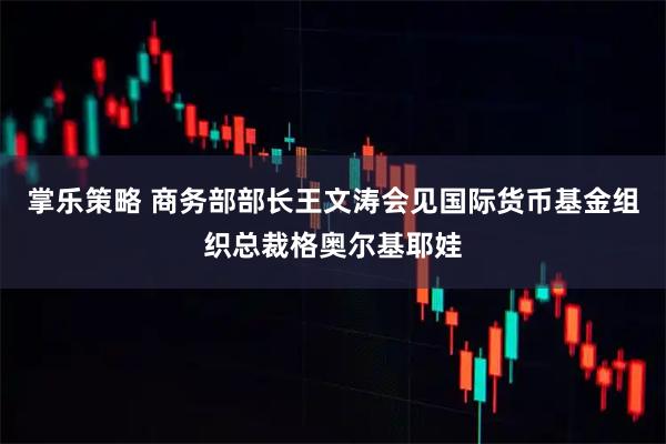 掌乐策略 商务部部长王文涛会见国际货币基金组织总裁格奥尔基耶娃