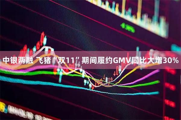 中银两融 飞猪“双11”期间履约GMV同比大增30%