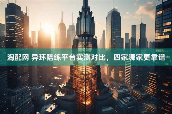 淘配网 异环陪练平台实测对比，四家哪家更靠谱