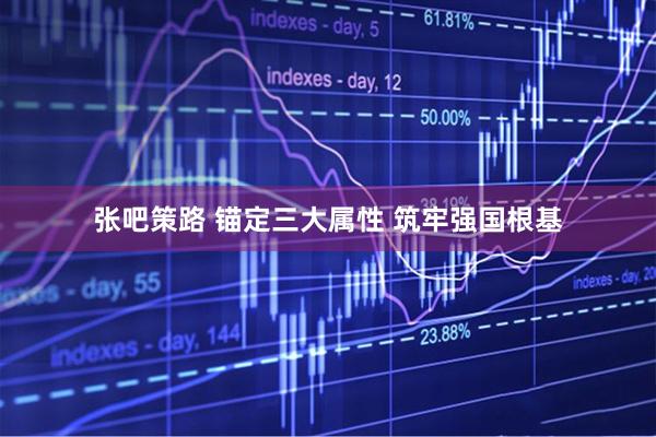 张吧策路 锚定三大属性 筑牢强国根基